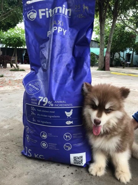 Thức ăn hạt Fitmin Maxi cho chó Alaska, Husky, Golden, Labrador - túi 3kg