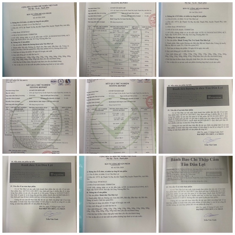 Bánh trung thu nhân thập cẩm xá xíu 2trứng Tân Dân Lợi 200g