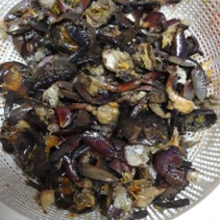 Ba khía trộn tỏi ớt ngon sạch hao cơm (hũ 500g)