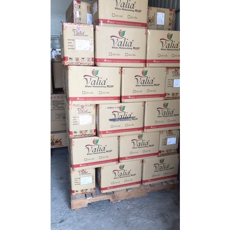 COMBO 100 gói dầu gội, sữa tắm