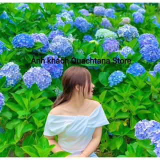 [HỎA TỐC HCM] Áo peplum nơ trễ vai thanh lịch