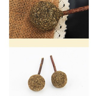 Kẹo que Catnip Bạc Hà cho mèo