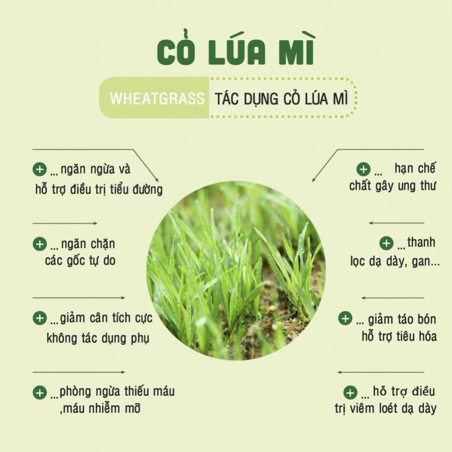 Bột cỏ lúa mì Hộp 60g (20 gói 3g) nguyên chất Dalahouse - Detox tiện lợi cho sử dụng từng gói nhỏ - NPP HS Shop Sài Gòn