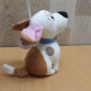 Chú chó Max