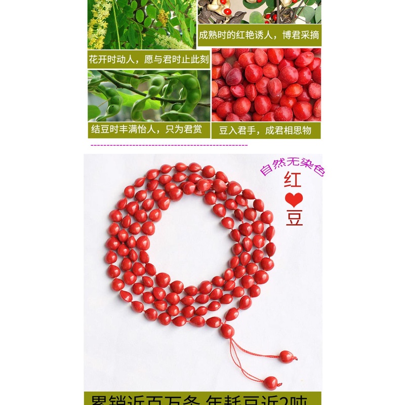 Vòng Tay Chuỗi Hạt Bồ Đề 108 Hạt Thời Trang Cho Cặp Đôi