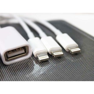 Cáp Lightning USB OTG Cho iPad 4, iPad Mini, iPhone 5