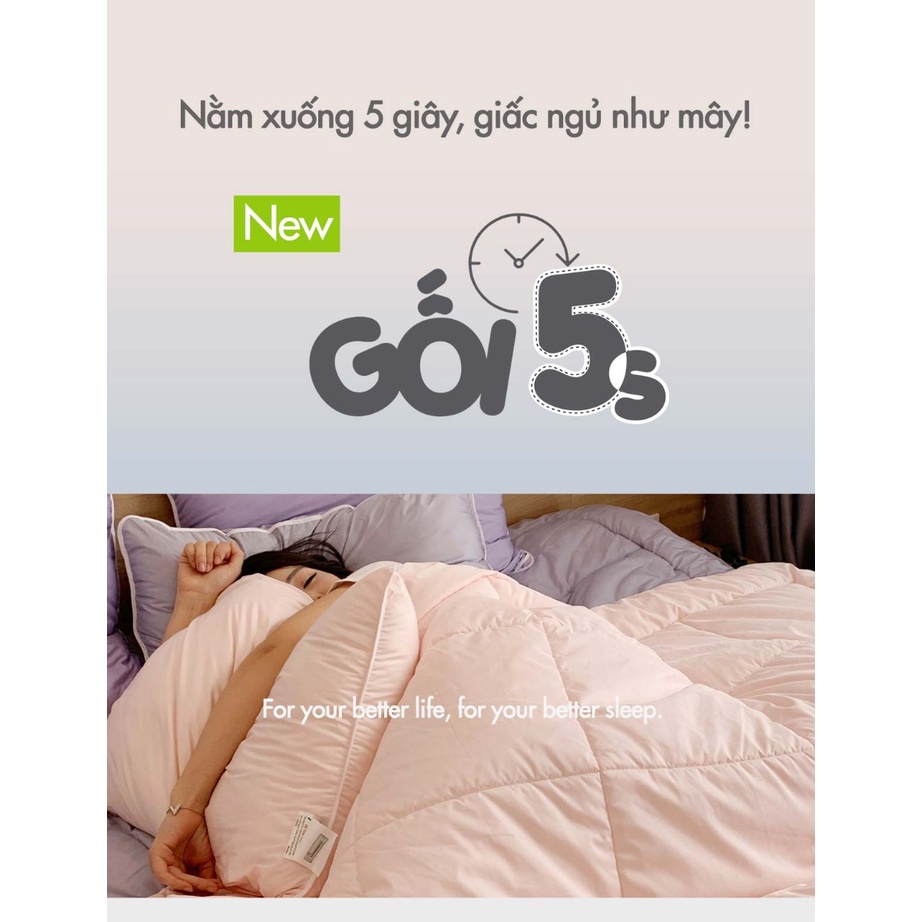 Ruột Gối Đầu 5S