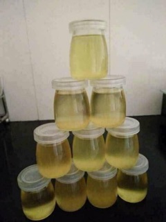 SET 12 HỦ SỮA CHUA THUỶ TINH