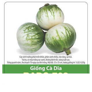 Hạt giống cà dĩa sọc xanh năng suất cao 0.5gr