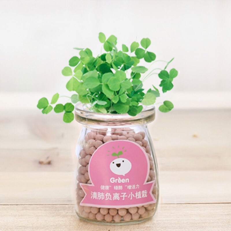 Bộ trồng cây mầm tưới nước tự nảy mầm | BigBuy360 - bigbuy360.vn