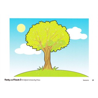 Flashcard family and friend 3