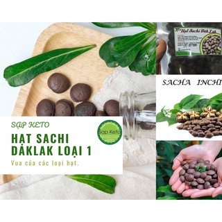HẠT SACHI DAKLAK Loại 1