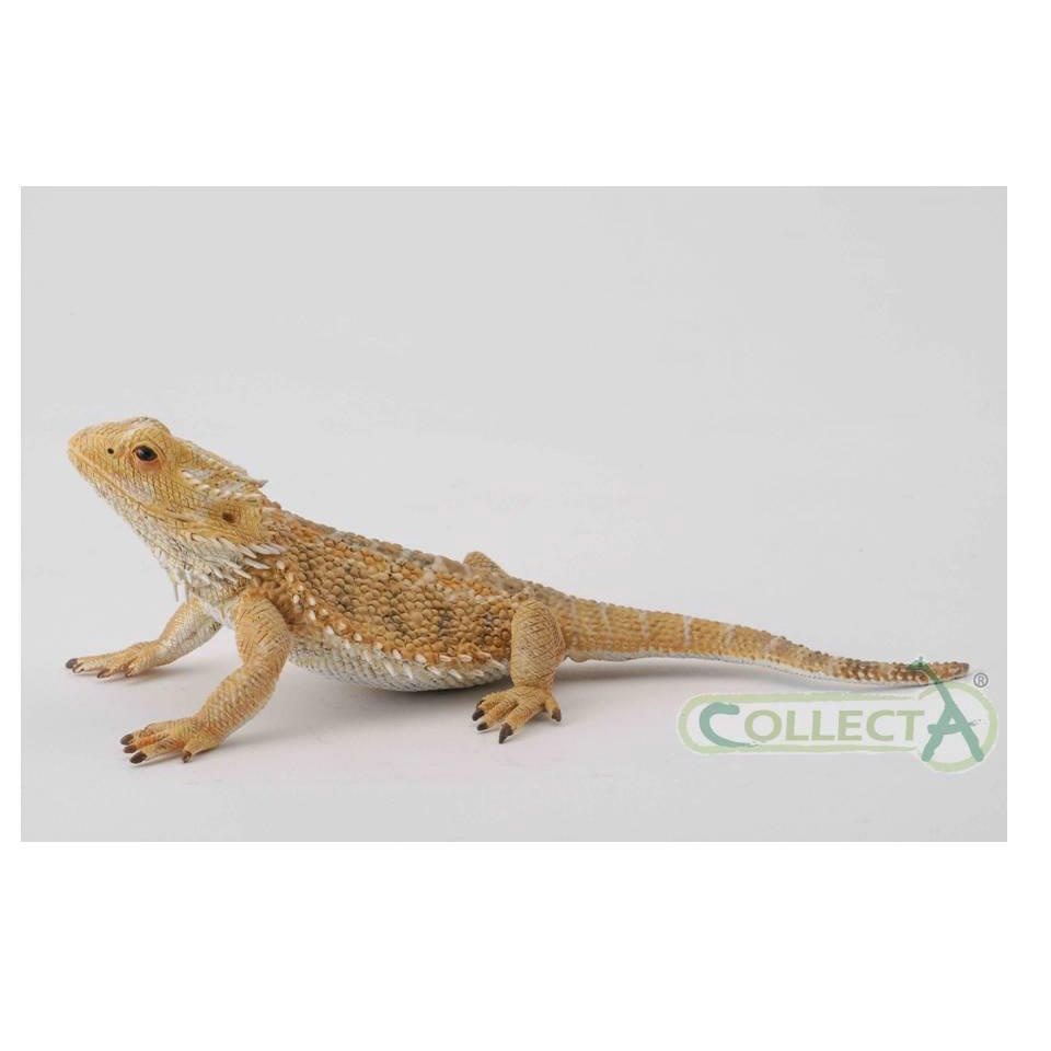 Mô hình động vật - Thằn lằn rồng úc