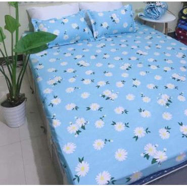 Bộ Ga Gối,Ga Trải Giường 1m,1m2,1m4,1m5,1m6,1m8,toàn mẫu mới đang hot,chát chọn mẫu,GHPL1168