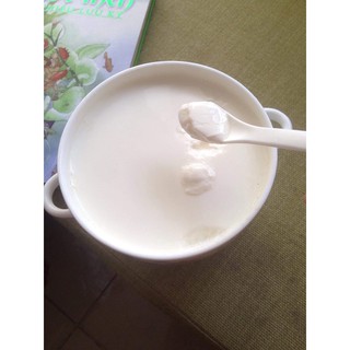 Men làm sữa chua Probiotic Yogourmet