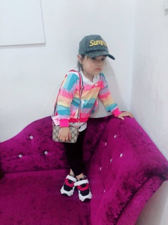 Set cầu vòng mèo