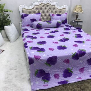 DRAP THUN HÀN QUỐC GIÁ HẤP DẪN