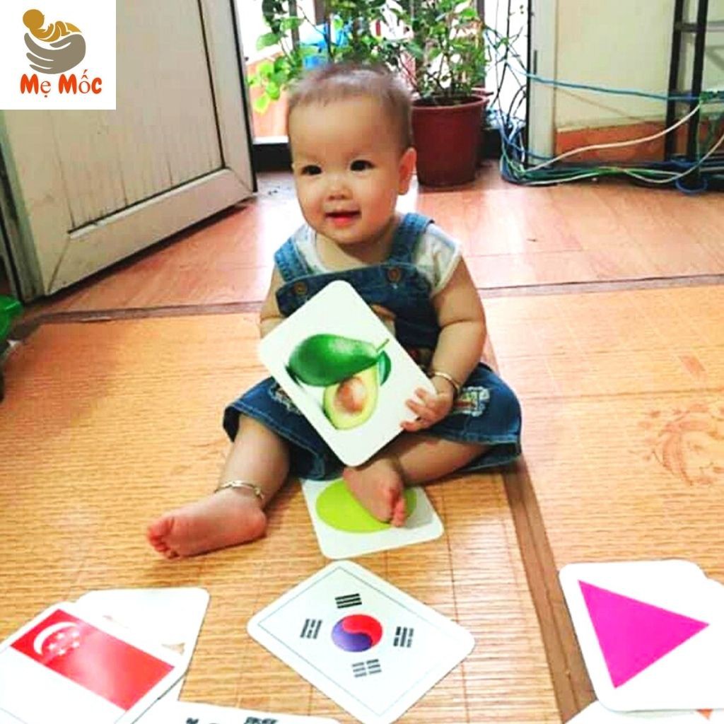 Thẻ Flashcard Glenn Doman Song Ngữ Anh Việt - Thẻ Học Thông Minh Nhận Biết Hình Ảnh,Từ Vựng Size To Cho Bé -Shop Mẹ Mốc