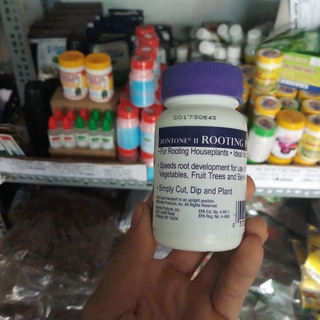 Kích rễ Rotting powder