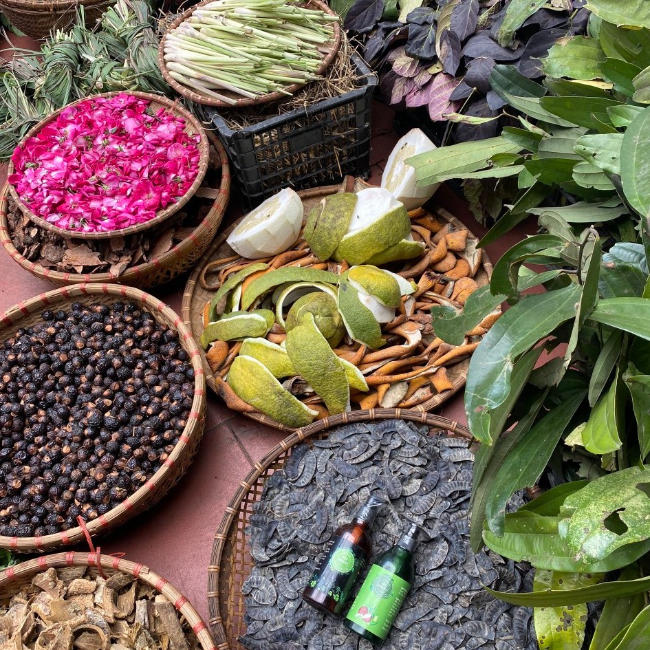 [Freeship] - Dầu Gội Thảo Dược Organic -  Mọc Tóc - Chống Rụng Tóc - Phục Hồi Tóc Hư Tổn - 350ml | BigBuy360 - bigbuy360.vn