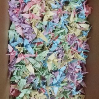 1000 hạc gấp sẵn bằng giấy KOKOMI JAPAN. Side 4x4