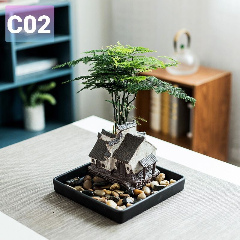 Chậu trồng cây bonsai mini, sen đá thụ _Phỏng Cổ Trấn