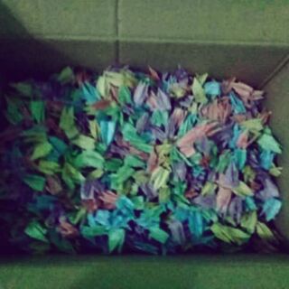 Hạc giấy kukumi 1000 con