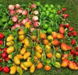 Đồ dùng mầm non