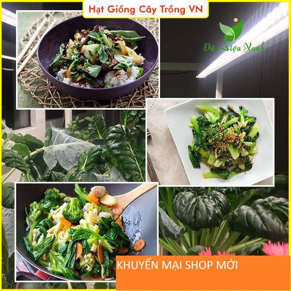 Hạt giống Cải Hoa Hồng - Cải Tatsoi Dễ Trồng, Cây Sinh Trưởng Mạnh, Trồng Quanh Năm khuyến mại shop mới