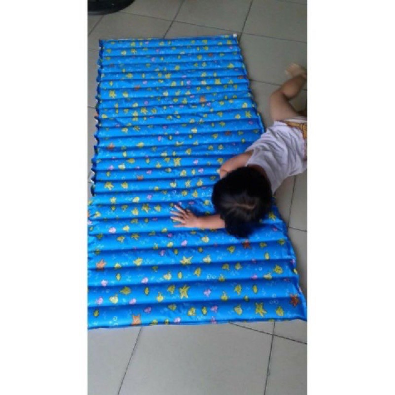 Đệm nước mimosa
