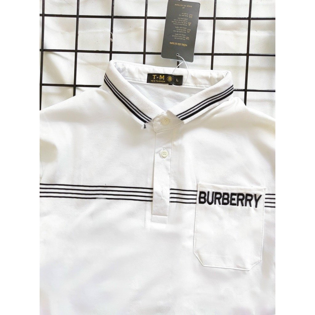 KT Store - Áo thun Nam Polo vải cotton cao cấp ngắn tay phối viền sọc, in chữ sang trọng lịch lãm | BigBuy360 - bigbuy360.vn