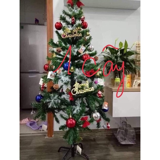 cây thông noel