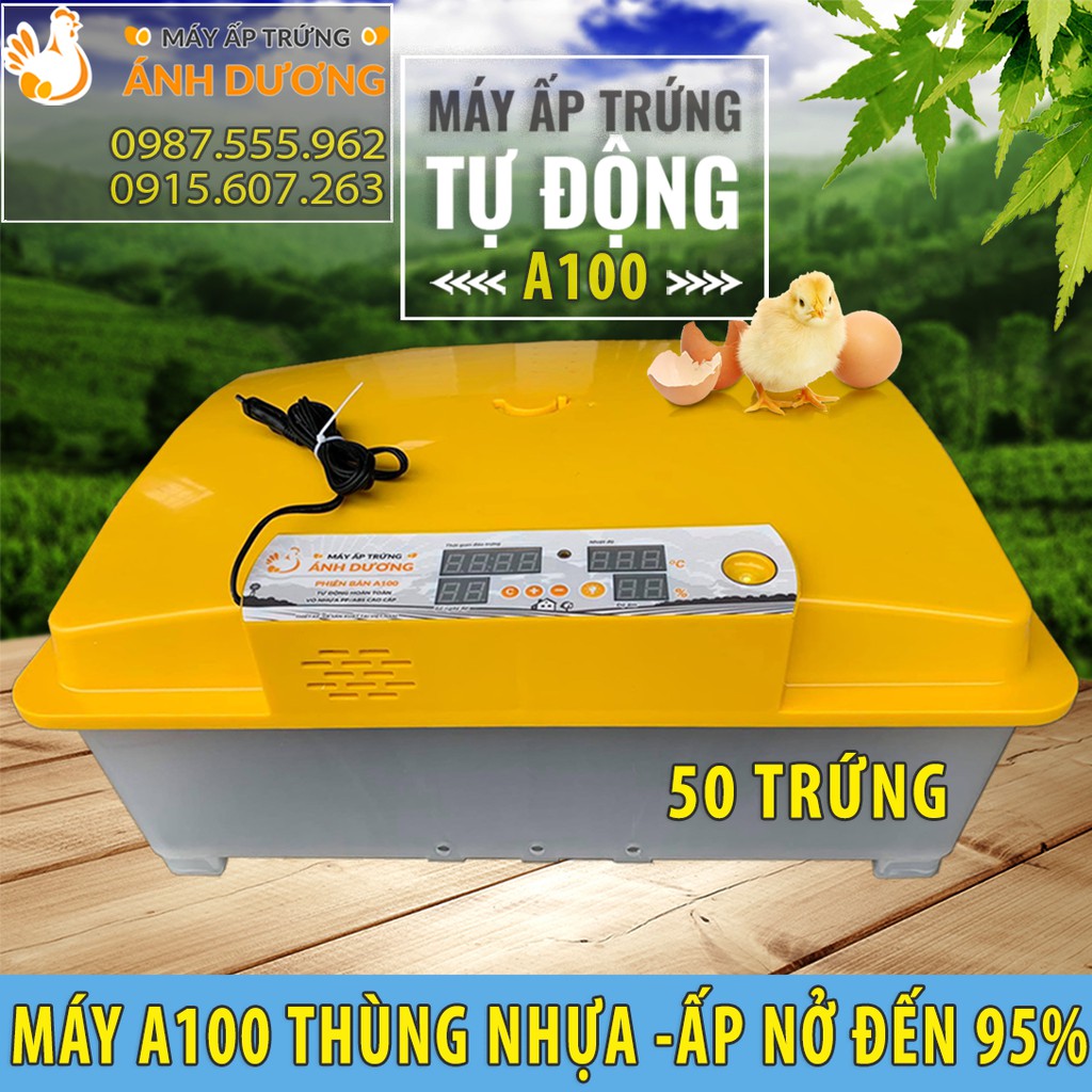 Máy ấp trứng tự động 50 trứng gà, vịt, câu, cút - khay nhôm đảo lăn - Lắp ráp sẵn + tặng kèm gói úm + bình châm nước