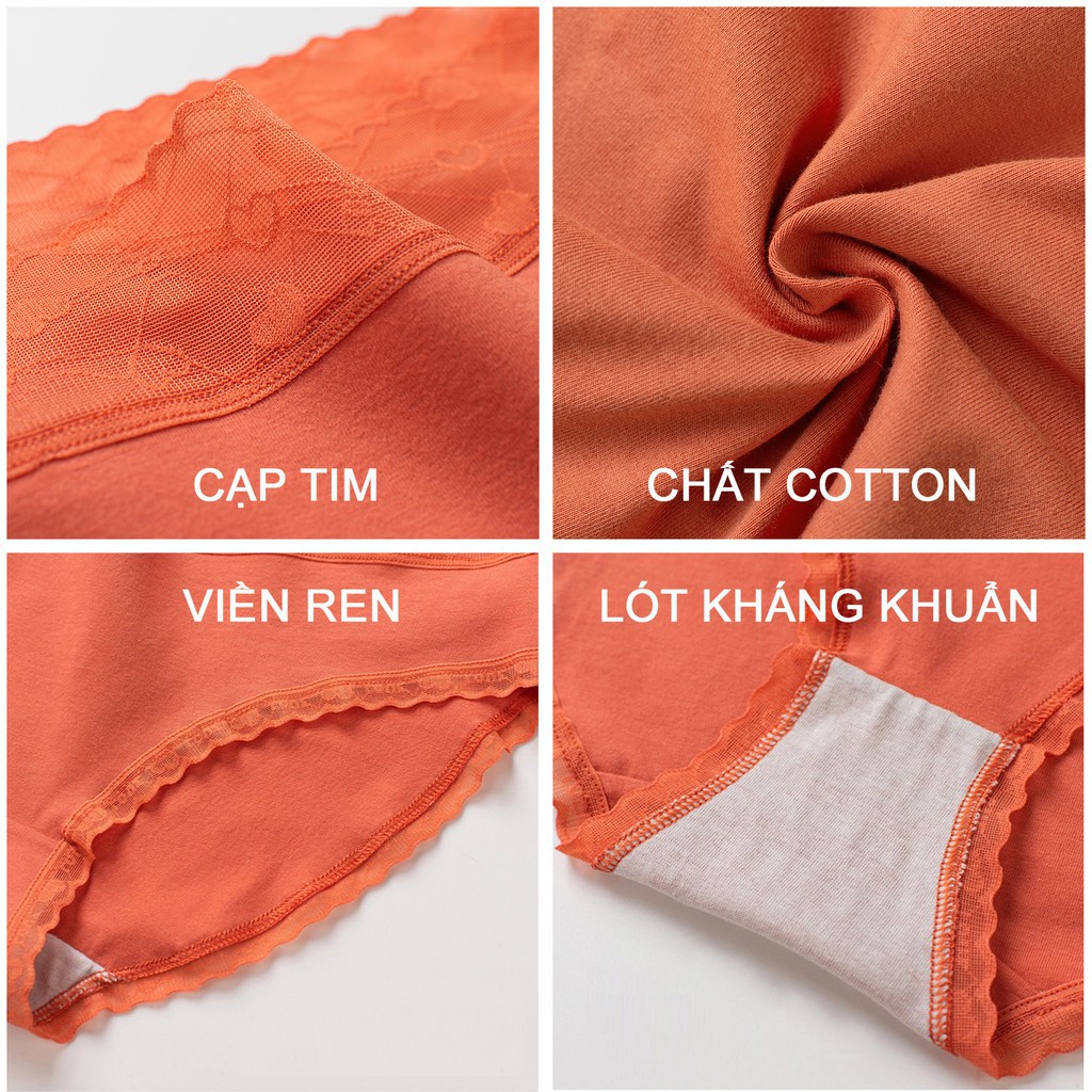 Quần Lót Cotton Cạp Ren Họa Tiết Tim FLQ43 | BigBuy360 - bigbuy360.vn