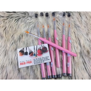 CỌ DẶM OMBRE CÁN HỒNG (Nail)