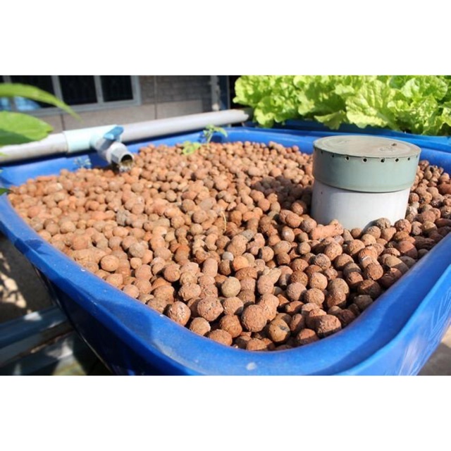 1kg viên đất nung Sfarm size 10-20mm