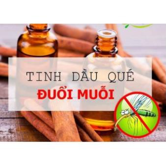 Tinh dầu Quế 10ml xông phòng nguyên chất (hàng cao cấp)