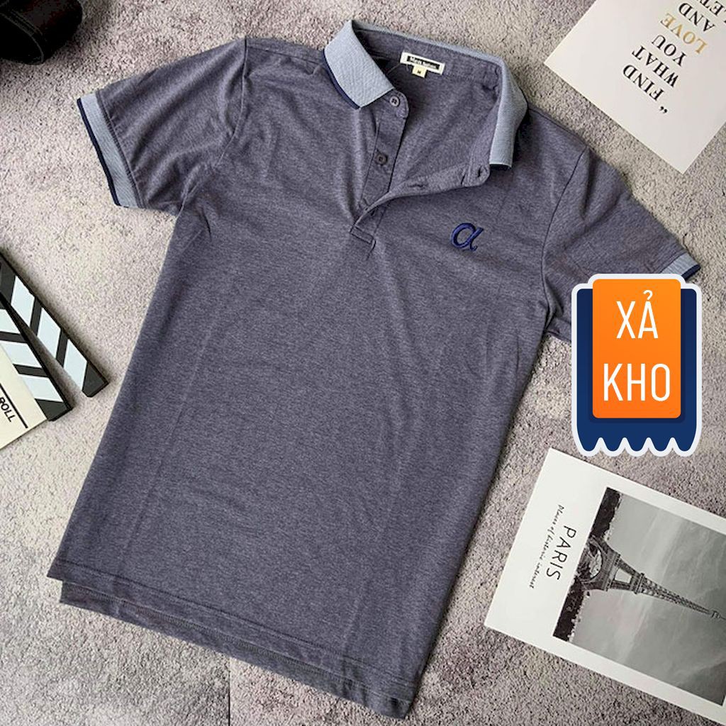 [XẢ KHO] Áo polo nam trơn phối viền tay ngắn ALPHA cao cấp RCP021A - áo thun nam đẹp form rộng Riooshop