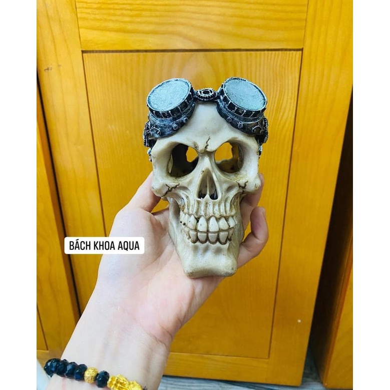 Đầu lâu đội mũ - đeo kính trang trí bể cá thủy sinh