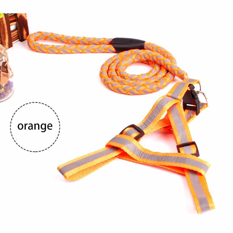 Dây dắt phản quang ban đêm có yếm