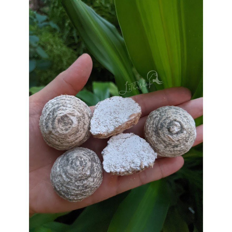 [Men cay] Men vỏ trấu làm cơm, nấu r.ượu chuẩn vị