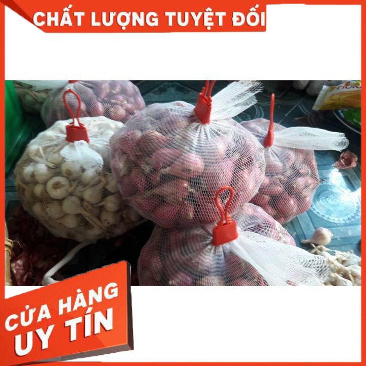 Combo 1kg hành + 1kg tỏi lý sơn chỉ 110k | BigBuy360 - bigbuy360.vn