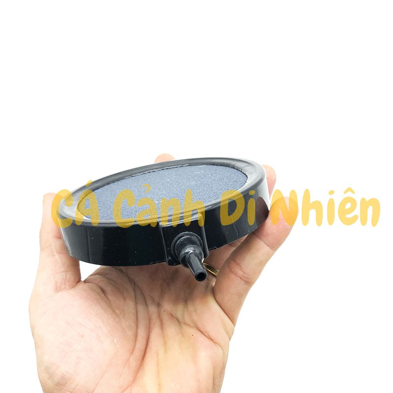 Sủi đĩa OXY ĐÀI LOAN siêu mịn đường kính 10 cm cho hồ cá cảnh