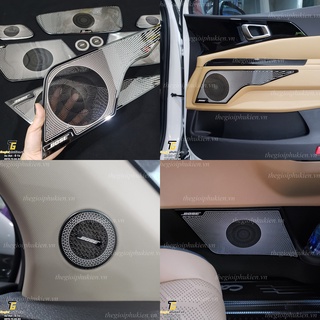 Ốp trang trí, bảo vệ màng loa Kia Carnival vân titan