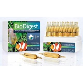 Vi sinh sống cho bể cá nước biển và nước ngot Biodigest Pháp 10 ống
