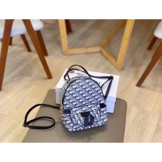 Balo dior nhỏ