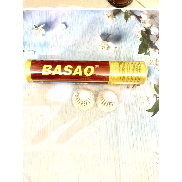 Sét 10 quả cầu lông 3sao