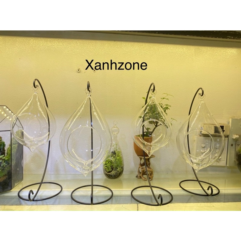 Bình thuỷ tinh trồng terrarium, kèm móc