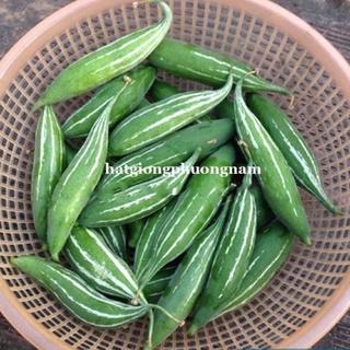 15h - hạt gióng lặc lầy xanh