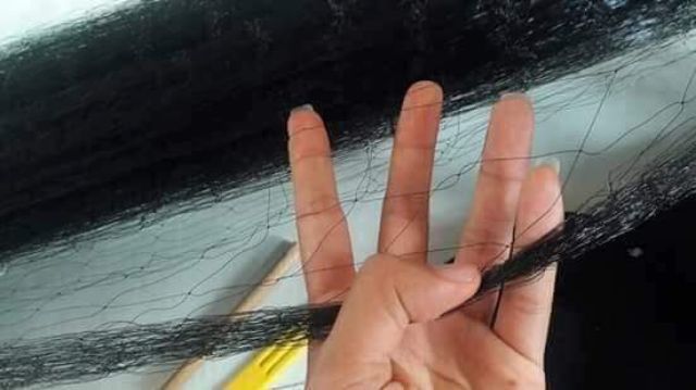 Rẻ  vô địch  - chất lượng  hoàn mỹ  -Lưới bẫy chim 7 pH 50m cu cò cuốc 7phan cao 5m dài 50m siêu nhậy